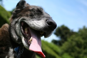 SunShinyGirl--6-19-11