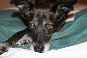 Pathetic--9-17-11