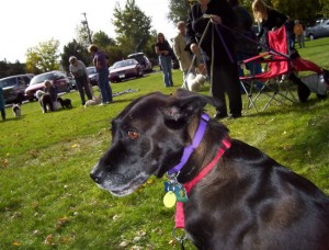PetBlessing--9-30-07