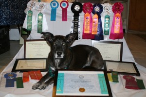 AYearsWorthofAwards--11-21-