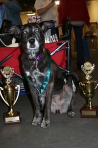 Trophies--9-16-12