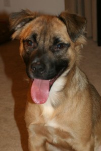 SmileyBoy--11-2-12
