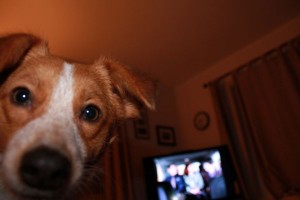 You know you'll miss me!