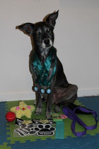 Taking home the gold despite rocky performances.