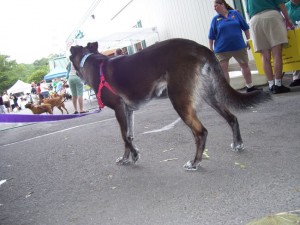 Risa checking out the scary event.